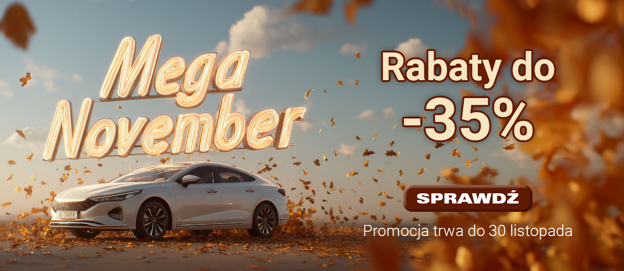 Mega November Mega November